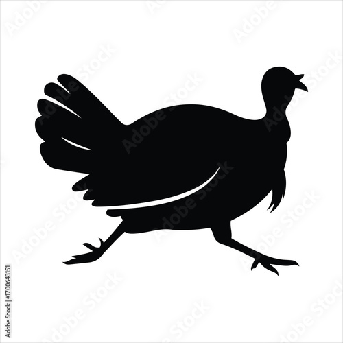 Silhouette of a running turkey with feathers detailed against a for thanksgiving
