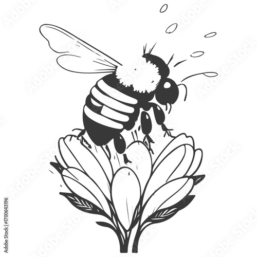 Bee on flower spring illustration grey