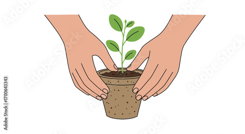 Planting a Seedling