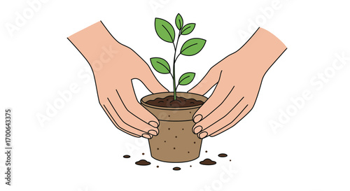 Hands holding a potted plant