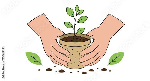 Hands holding a potted plant