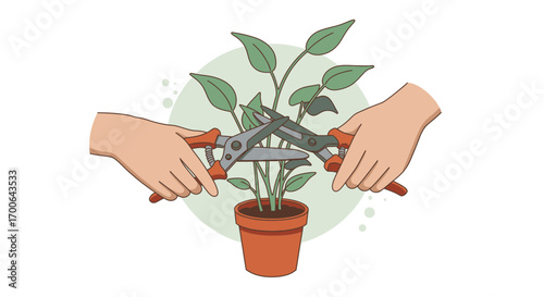 Pruning a Plant