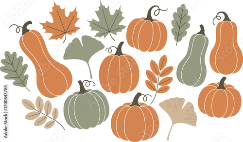 Autumn harvest collection of pumpkins gourds and fall leaves for festive decoration vector