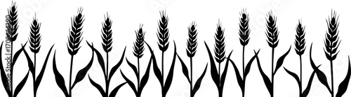 Wheat Field Silhouette Illustration