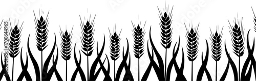 Wheat Field Silhouette Illustration