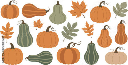 Harvest collection assorted pumpkins gourds and autumn leaves seasonal decorations vector