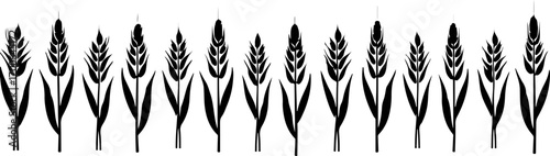 Wheat Field Silhouette Illustration