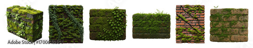 Mossy brick and stone wall set including ivy, cracks, and varied plant growth isolated. Organic natural elements for design.