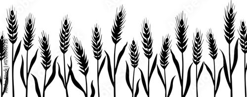 Wheat Field Silhouette Illustration