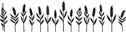 Wheat Field Silhouette Illustration