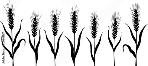 Wheat Field Silhouette Illustration