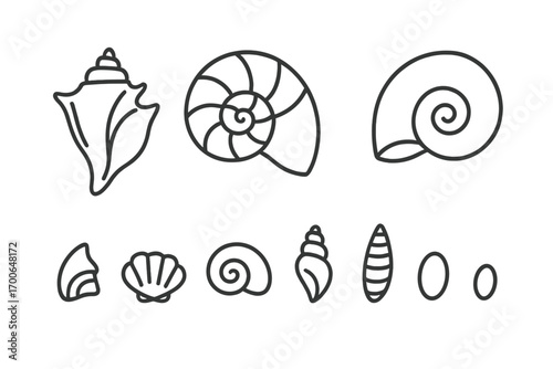 Shell Icons Collection. Line style icons of giant and tiny shells: giant conch shell, large nautilus shell, oversized clam shell,