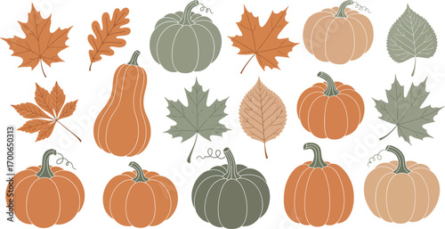 Autumn harvest collection pumpkins gourds and fall leaves decorative elements vector