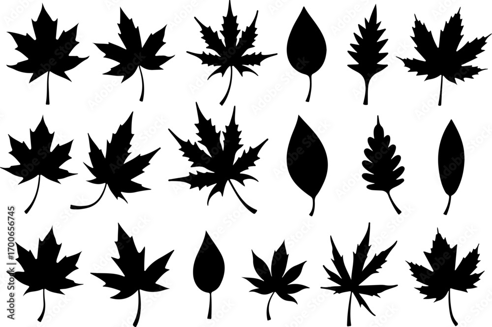 Fototapeta premium Assorted Leaf Silhouettes Collection