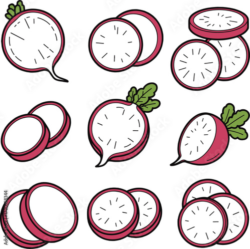 Assortment of nine radish illustrations showing whole and sliced views with green leaves root vegetable
