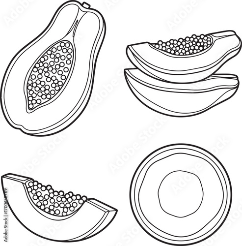 Black and white line art of papaya fruit and slices on a white background Keywords: papaya, papayas, fruit, tropical, food, sweet, juicy, slice, slices, whole, half, cut