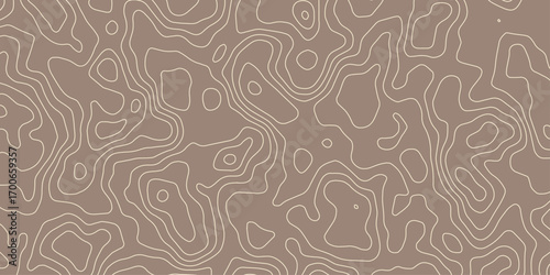 Abstract topographic contours map background, Topography map background. Topographic map patterns, topography line map. Vintage outdoors style.