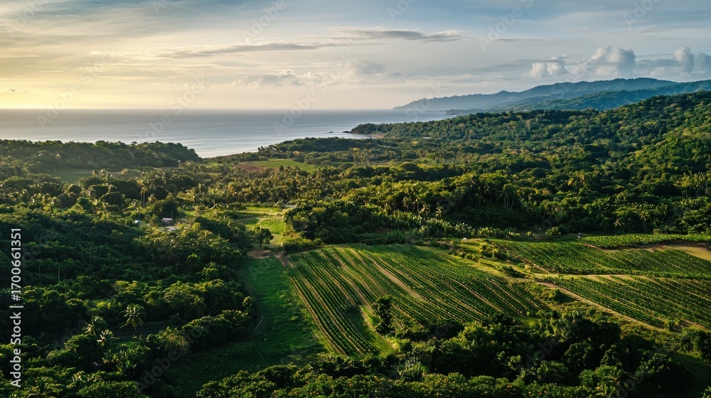 Naklejka premium Aerial view lush green fields coastline