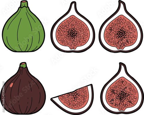 Hand-drawn illustration of whole and sliced figs in green and brown colors on a white background fruit