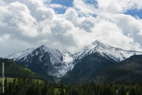 Fototapeta Naklejka Na Ścianę i Meble -  snow covered mountains tatry poland with clouds around and big pine trees