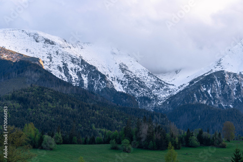Fototapeta Naklejka Na Ścianę i Meble -  snow covered mountains tatry poland with clouds around and big pine trees