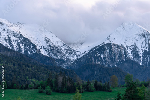 Fototapeta Naklejka Na Ścianę i Meble -  snow covered mountains tatry poland with clouds around and big pine trees