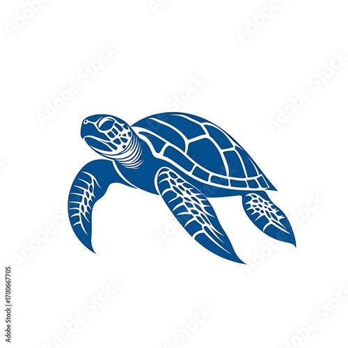 Stylized blue sea turtle illustration with detailed shell pattern