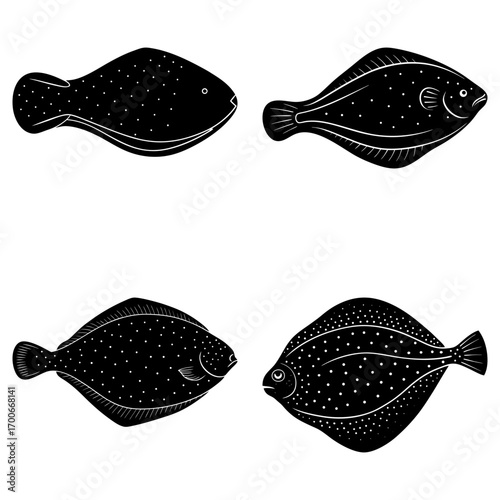 Four flatfish illustrations in black and white showing different angles and details of the fish shapes
