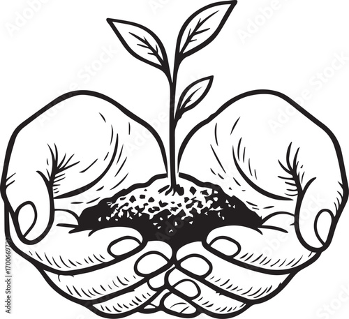 Nurturing Growth: A pair of cupped hands delicately cradle a young plant with fresh leaves, a symbol of nurture, growth, and the environment.