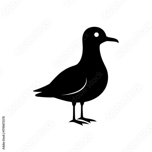 Silhouette of a standing seagull facing right on transparent background