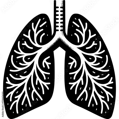 Lungs Anatomy Detailed Black and White Illustration