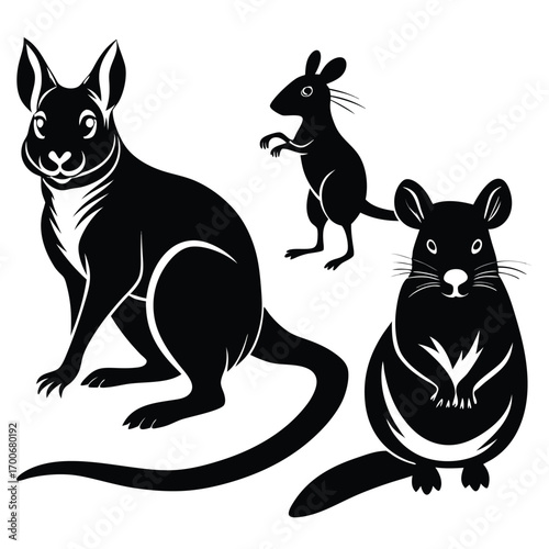 Australian Marsupials in Black and White Silhouette Kangaroo Wallaby and Quoll for Animal Lovers Home Decor Art Prints