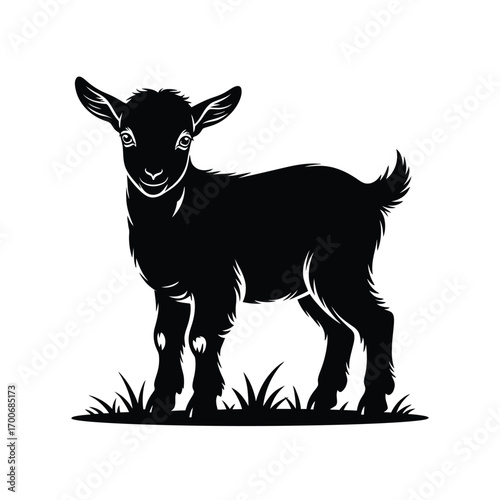 Adorable black silhouette of a young goat standing in grass