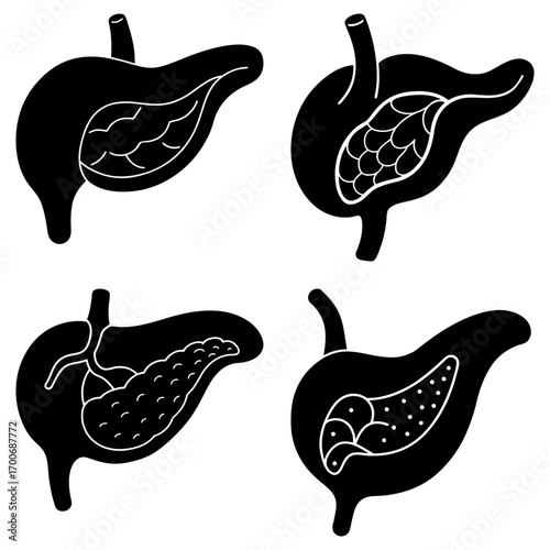 Four black and white anatomical illustrations of the pancreas and stomach with internal structures visible