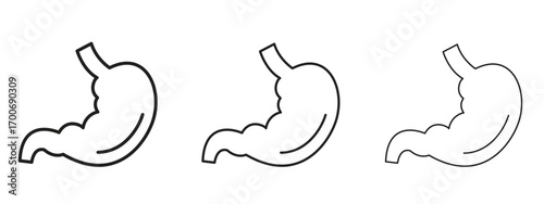 Stomach icon Illustration Eps10. Line with editable stroke