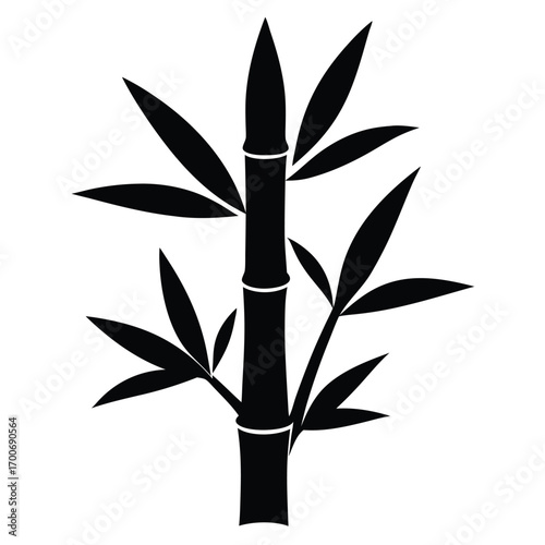 Bamboo Tree Leaves Silhouette Vector EPS
