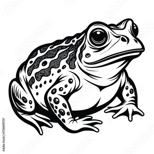 Monochromatic Graphic Illustration of a Realistic Toad with Intricate Details and Spot Patterns Depicted in a Vector Style