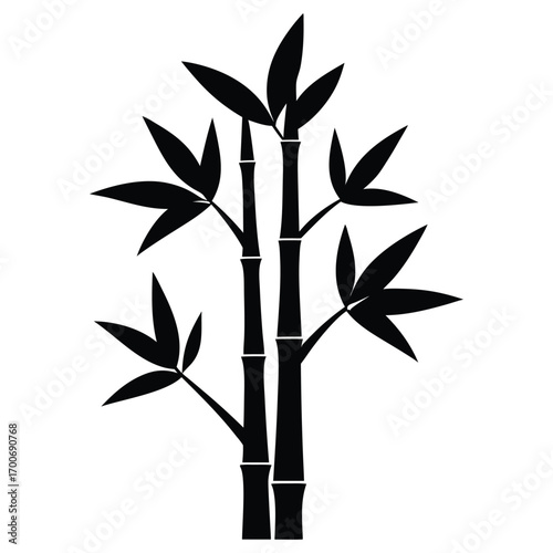 Bamboo Tree Leaves Silhouette Vector EPS