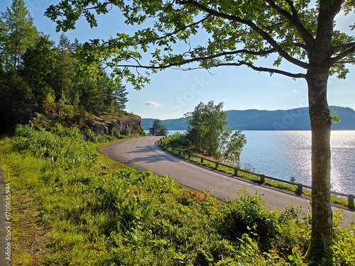 Obraz na plátne Scenic lakeside road in Ulricehamn, southern Sweden curving through lush green forest in Sweden