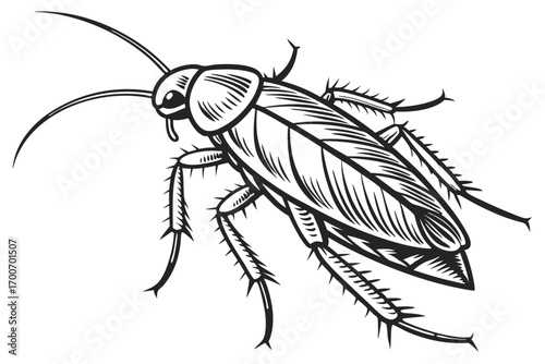 Monochrome Depiction of a Cockroach Vector Art Featuring Intricate Line Work and Shading to Emphasize Details of the Insect