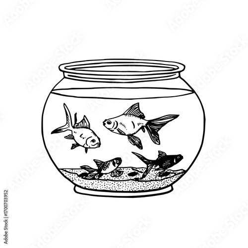Goldfish bowl drawing illustration vector image of pet fish in aquarium tank with sand and rocks graphic art