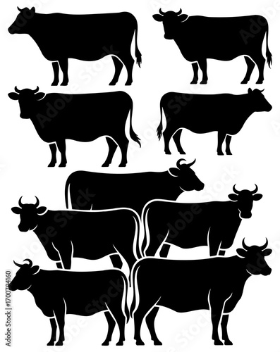 black silhouettes of cows on a white background, vector illustration.