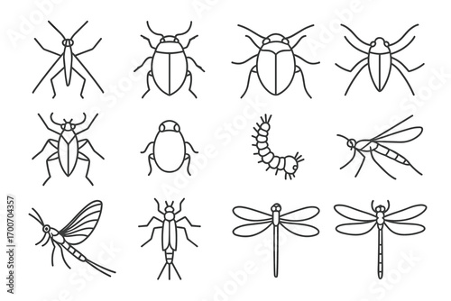 Water Insect Icons. Line style icons of water insects: water strider, diving beetle, water boatman, backswimmer; giant water bug,