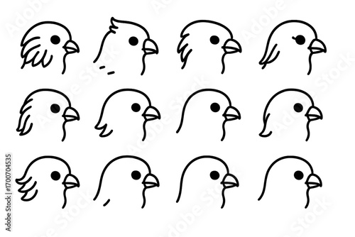 Feather Detail Icons. Line style icons of feather detail in faces: cheek feathers, forehead tuft, side frills, eye lashes; soft