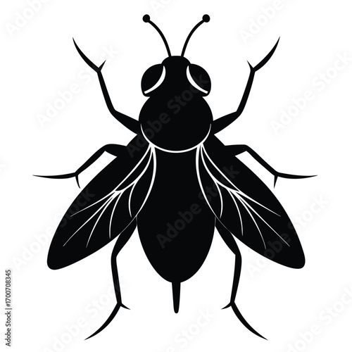 Black Fly Insect Silhouette Vector Illustration