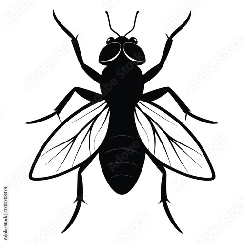Black Fly Insect Silhouette Vector Illustration