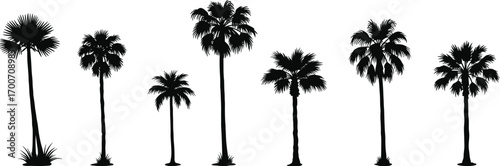 Collection of tropical palm tree silhouettes in different shapes and sizes, ideal for beach scenes, exotic landscapes, travel designs, and summer vector art