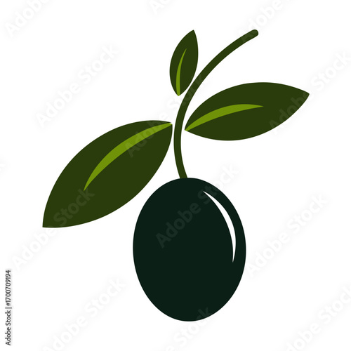 Olive colorful icon vector on white background 