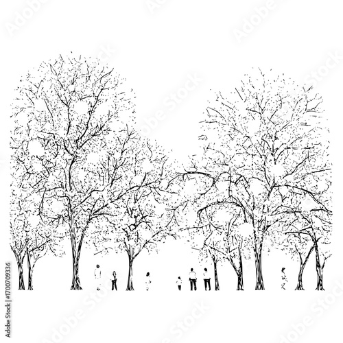 Black and white drawing of trees in park with people walking scenic nature landscape illustration art 100
