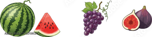 Colorful vector illustration of watermelon, grapes, and figs with whole and sliced fruit, healthy organic summer food design for nutrition and freshness